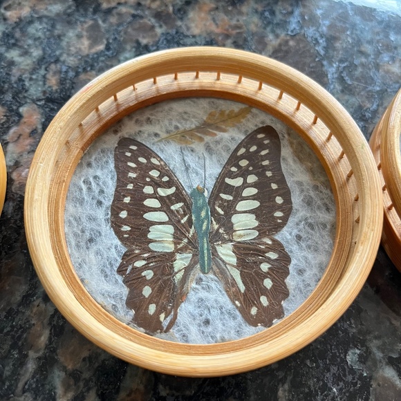 Vintage 40s Brazillian Butterfly Inlay Tray with Bamboo Coasters - Picture 6 of 9